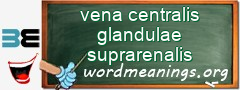 WordMeaning blackboard for vena centralis glandulae suprarenalis